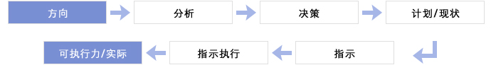 机能概要 方向 分析 决策 计划/现状 指示 指示执行 可执行力/实际